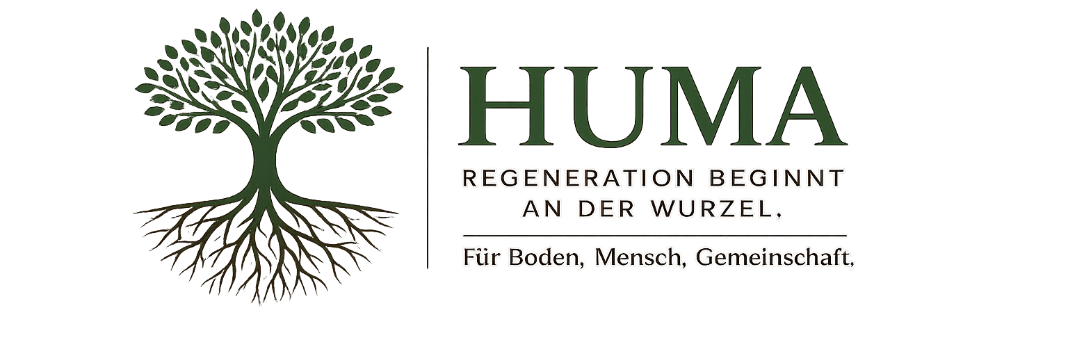 logo transparent